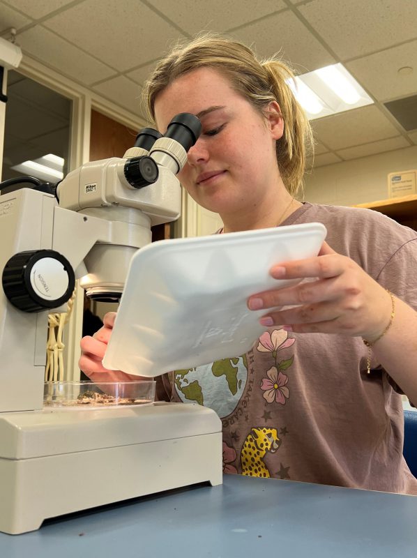 Heyl Scholar Emily Haigh examines land snails under a microscope at Dow Science Center.